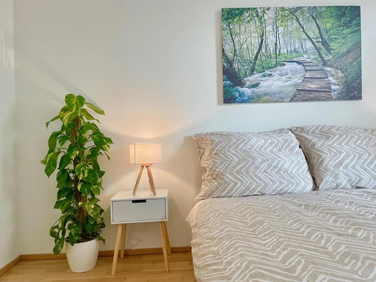 Апартаменты Central 55M2 Flat With Balcony & Parking Вена